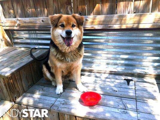 indybrewdog's tweet photo. You can buy me a beer now! Don't worry, it's safe. @Flat12Bierwerks http://t.co/12833L3TgW http://t.co/plAxuADCbS
