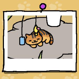 StupidNoodleCat's tweet photo. I love when Noodle comes to visit. http://t.co/yZCofpQhaJ