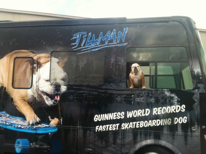 TillmanSkates's tweet photo. I have my own bus! Honk if you see me drive by! Beep Beep! http://t.co/VGsx7iBNN5