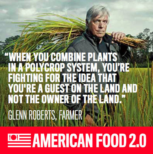 USAPavilion2015's tweet image. .@AnsonMills research and commitment has brought formerly extinct crops back in production ow.ly/QTEsz