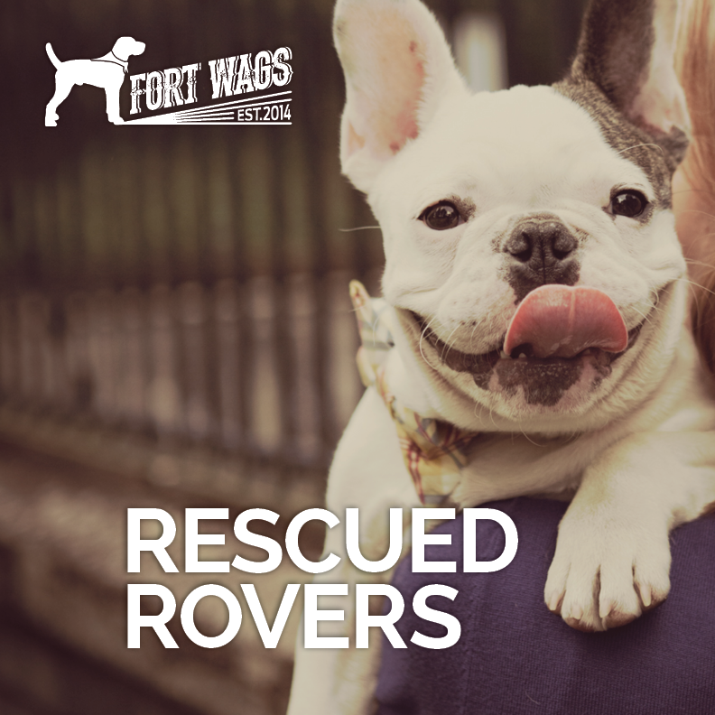 FortWags's tweet photo. You just adopted a rescue. Now what? http://t.co/66kFUwyskv #dogtraining #rescuedogs #pdx #shelterdogs #adoptadog http://t.co/TNwGDdbE6P