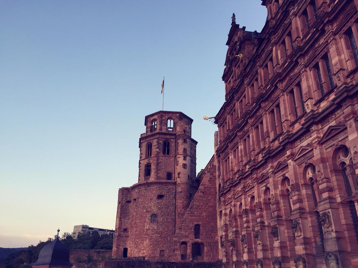 JUDSON MORGAN tweet media