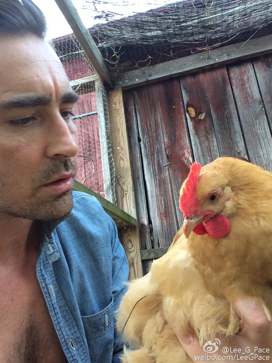 Lee Pace Network (@leepacenetwork) / Posts / X