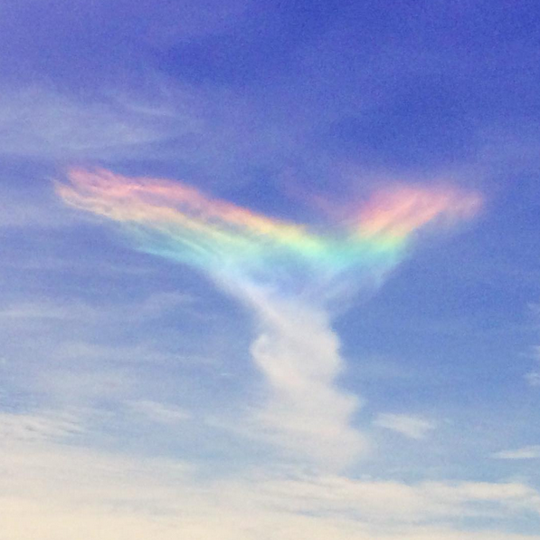 e_coconuts_com's tweet photo. Play the Game! http://t.co/ZeKLgN3ilS On Monday Coco was over the Rainbow#http://tmblr.co/ZxolEk1sBq0If D-1 RU Ready? http://t.co/W0GEafDeun