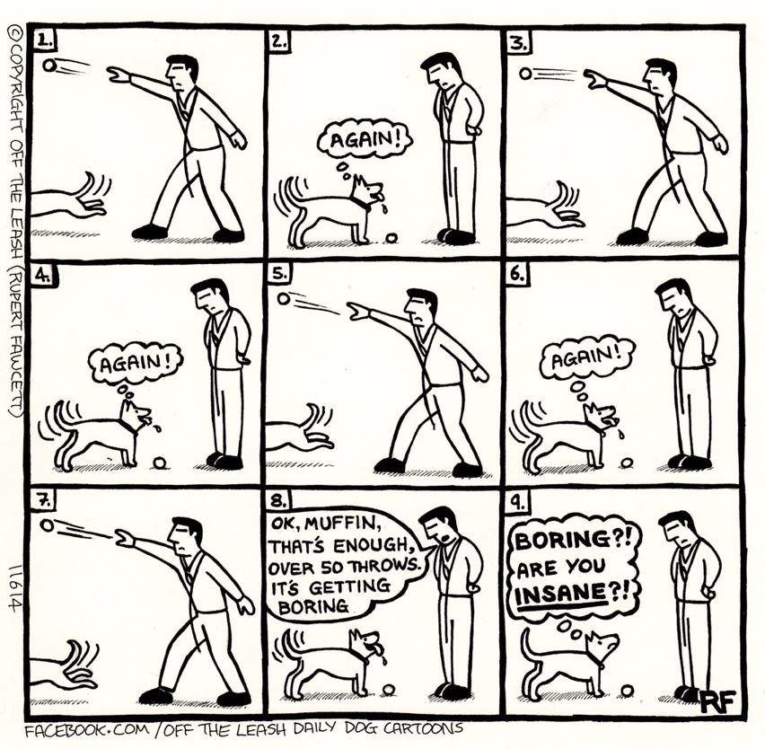 missbonniedog's tweet image. Exactly! #iamlab #dogsoftwitter