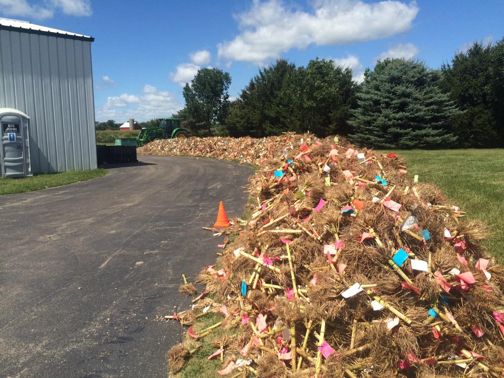 ChannelSeed's tweet photo. Holy smokes! RT @DanielLundeen: pile of roots rated this season by the technology team @lukecolechannel @MonsantoBug http://t.co/0nuDUQc1OF
