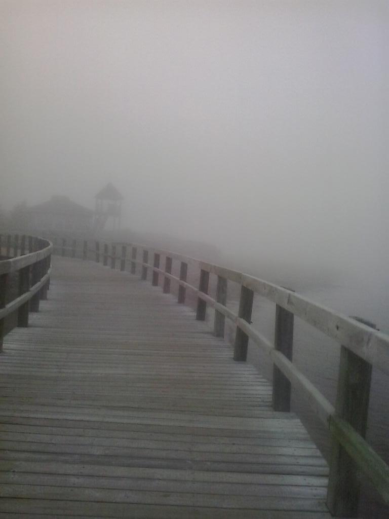 An eerie scene at the dunes last night. It's like they knew I was coming. #HorrorScenes #MysteriousMist