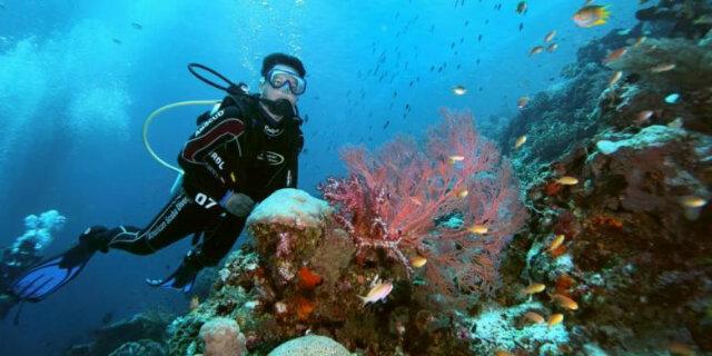 Snorkeling,raja ampat west papua indonesia.