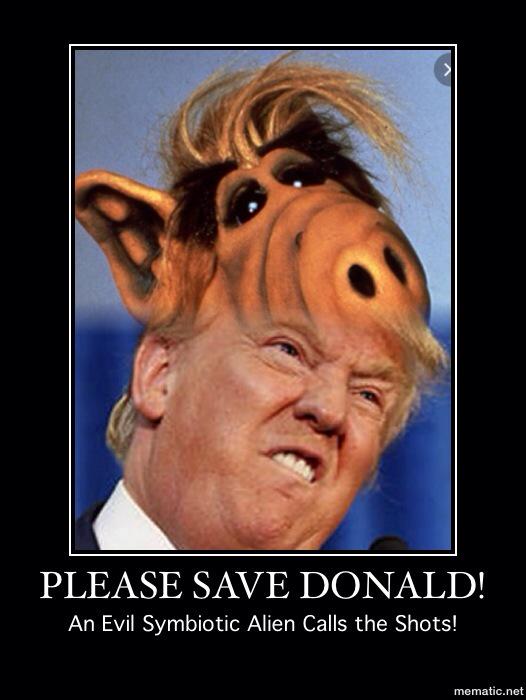 dev_g_bennett's tweet photo. Here 'a proof! #SaveDonald @Spiggitzfan @GammaRae206 @auntoona http://t.co/IJghQvkweP