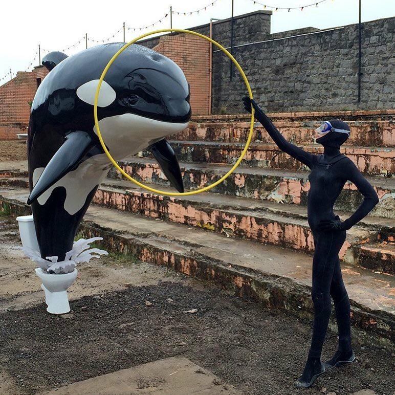 Dolphin_Project's tweet photo. Banksy strikes again! #DolphinProject  #DontGoToSeaworld http://t.co/IE4tsD41LP