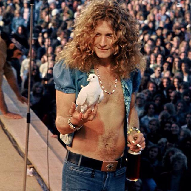 Happy Birthday Robert Plant!  67 years old today.   