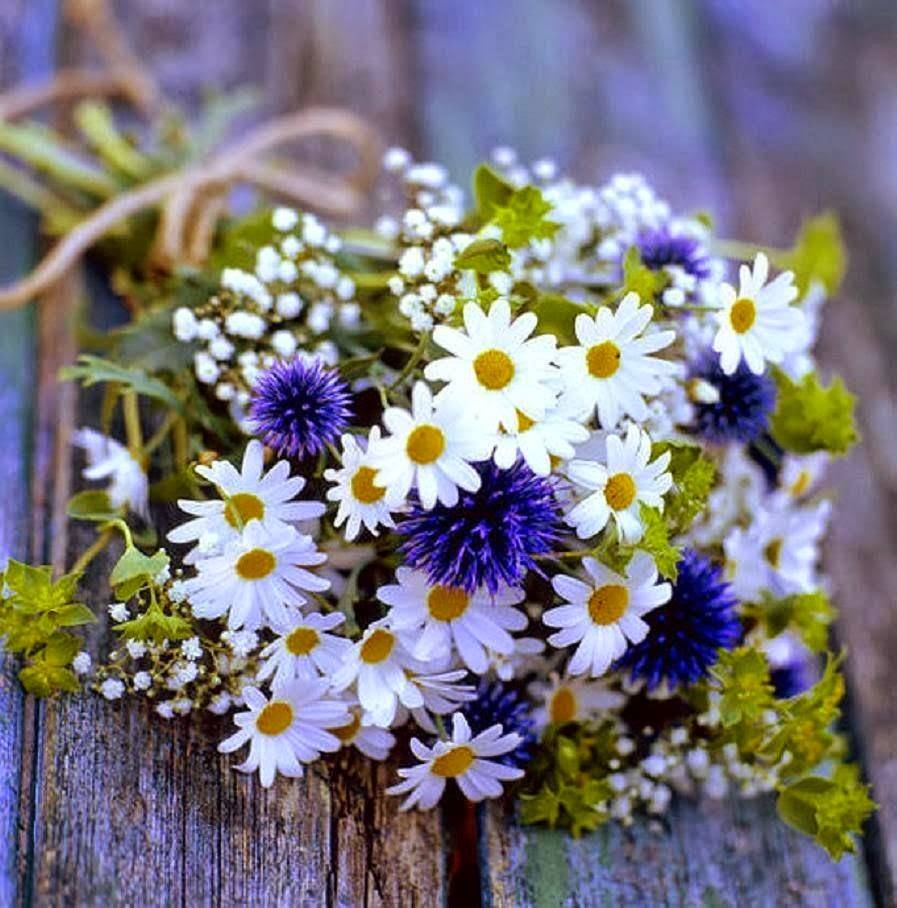 Svetlana (@lana57region) on Twitter photo 