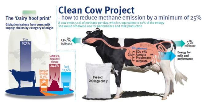 how to reduce methane emissions from cattle