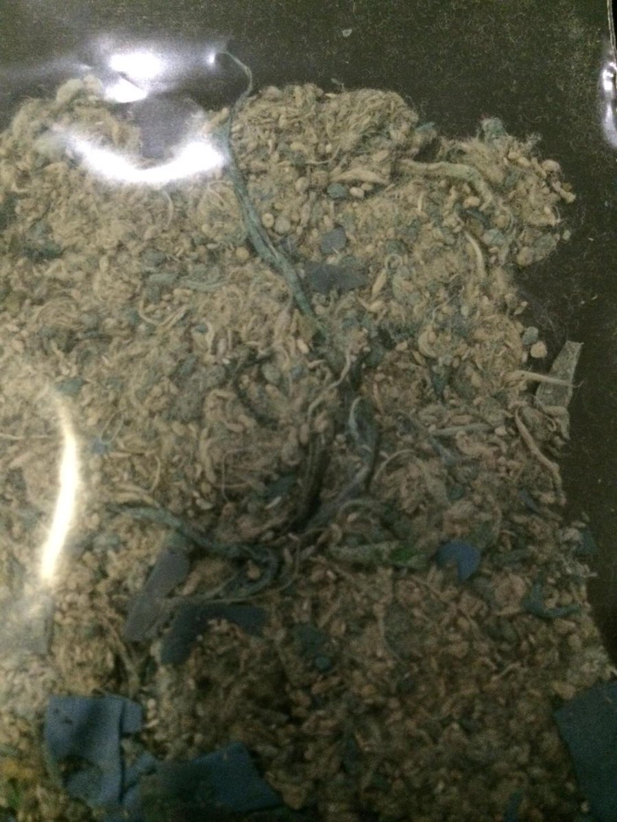 Panacea Group (PanaceaGroupUK) Twitter