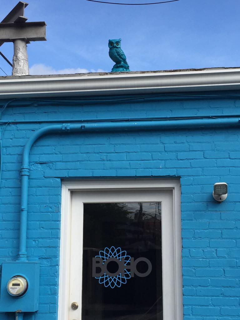 OhGrohs's tweet photo. #bohoblue owl FTW. http://t.co/NWScPvqut1