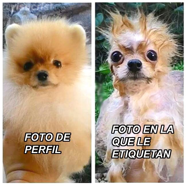 yisucrist's tweet photo. resumen d mi puta bida: http://t.co/Ch8SLtxpxs