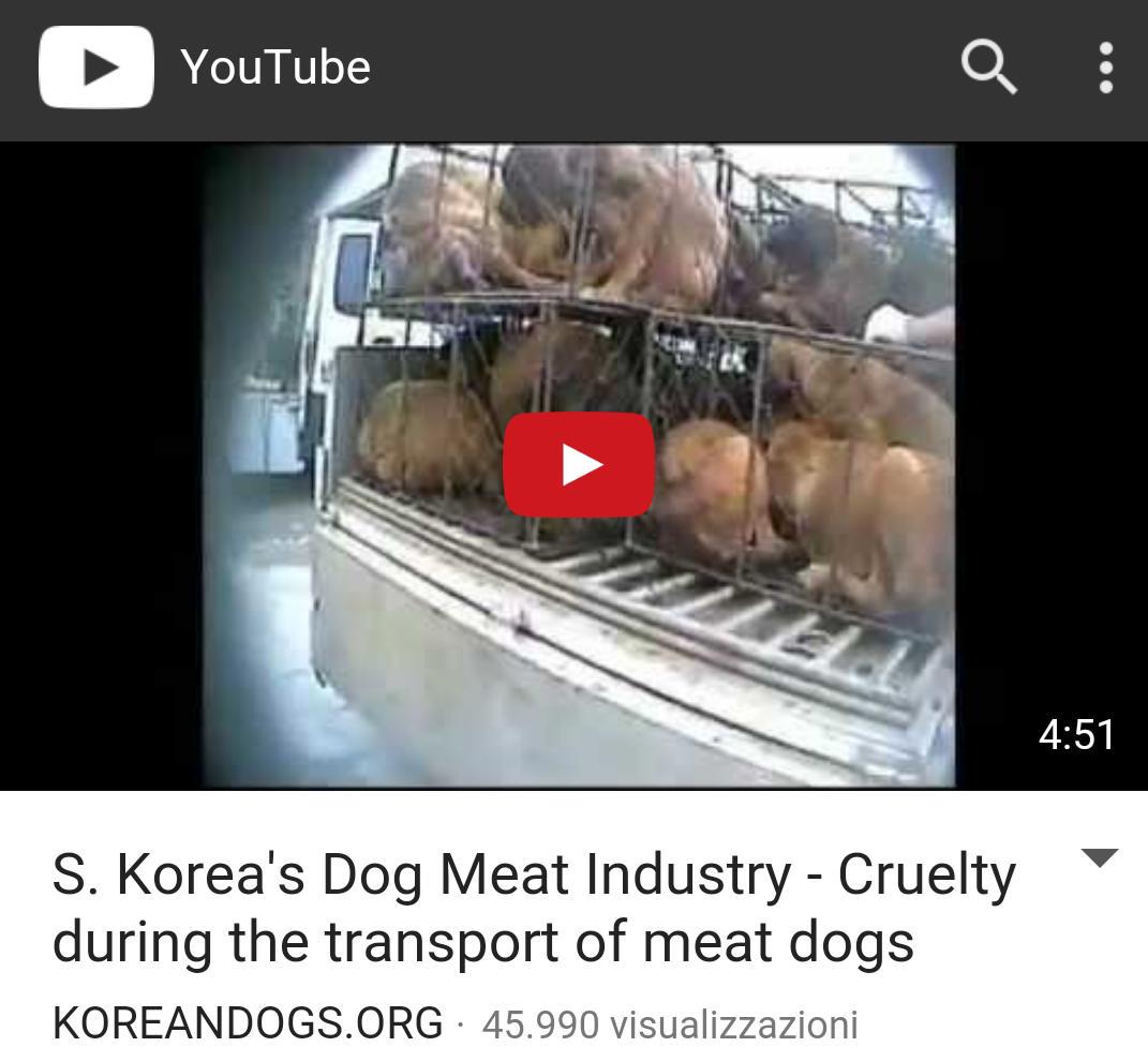 yvonne v tweet media