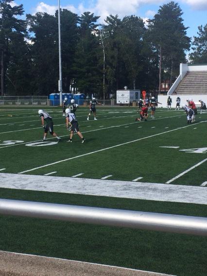 Beavers hard at work