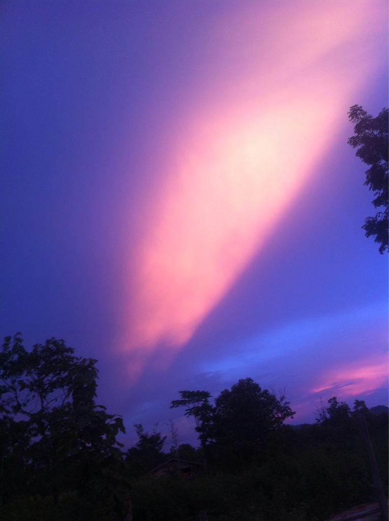 Panhya81 tweet picture
