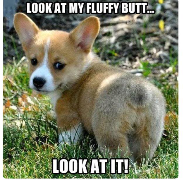 chas_hoff2's tweet image. If you&apos;re havin a bad day