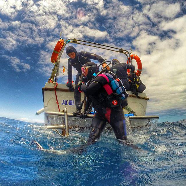 Funwith_scuba's tweet image. Por debajo de la cota cero. #scubadiving #diveforlife #crazycool_hdr #coolworld_hdr #worlbest_hdr #princely_shotz #p…