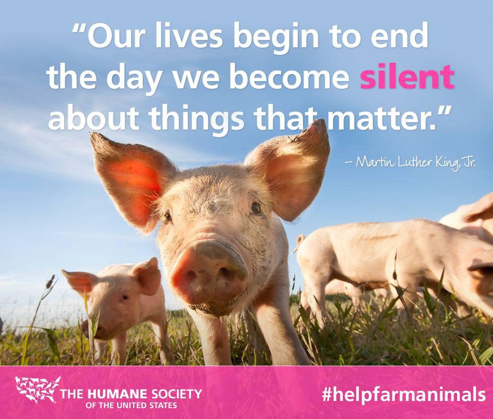Matt_Dominguez's tweet photo. #TheNextBigThing compassion for all living creatures! #NeverRemainSilent http://t.co/DSffHeVXi1