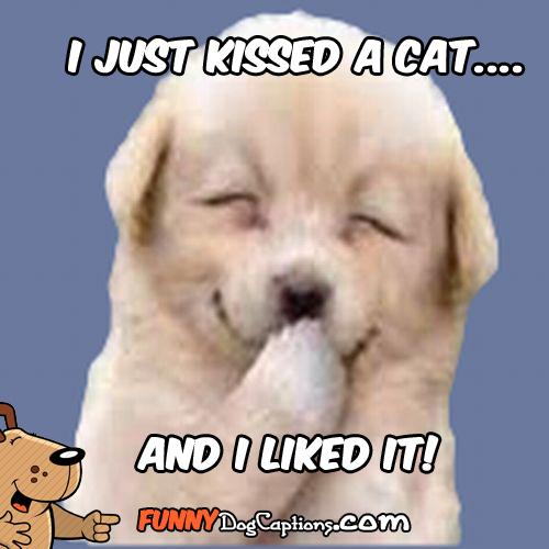 funnydogcaptions.com Come join the fun!