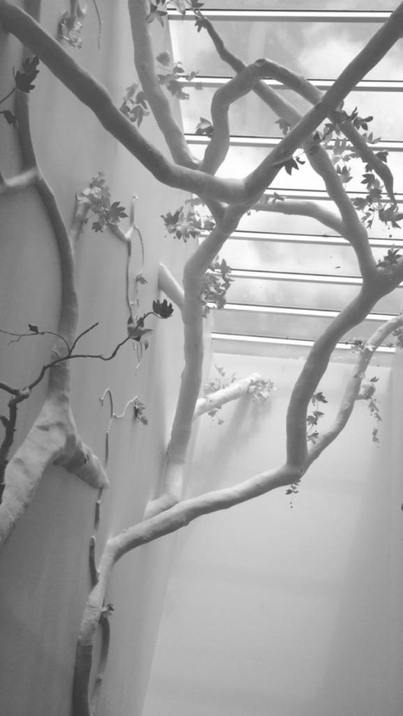 Brittany_Ann44's tweet image. #CommunityImmersion #MSWcommunity #WallArt #Library #WestHollywood