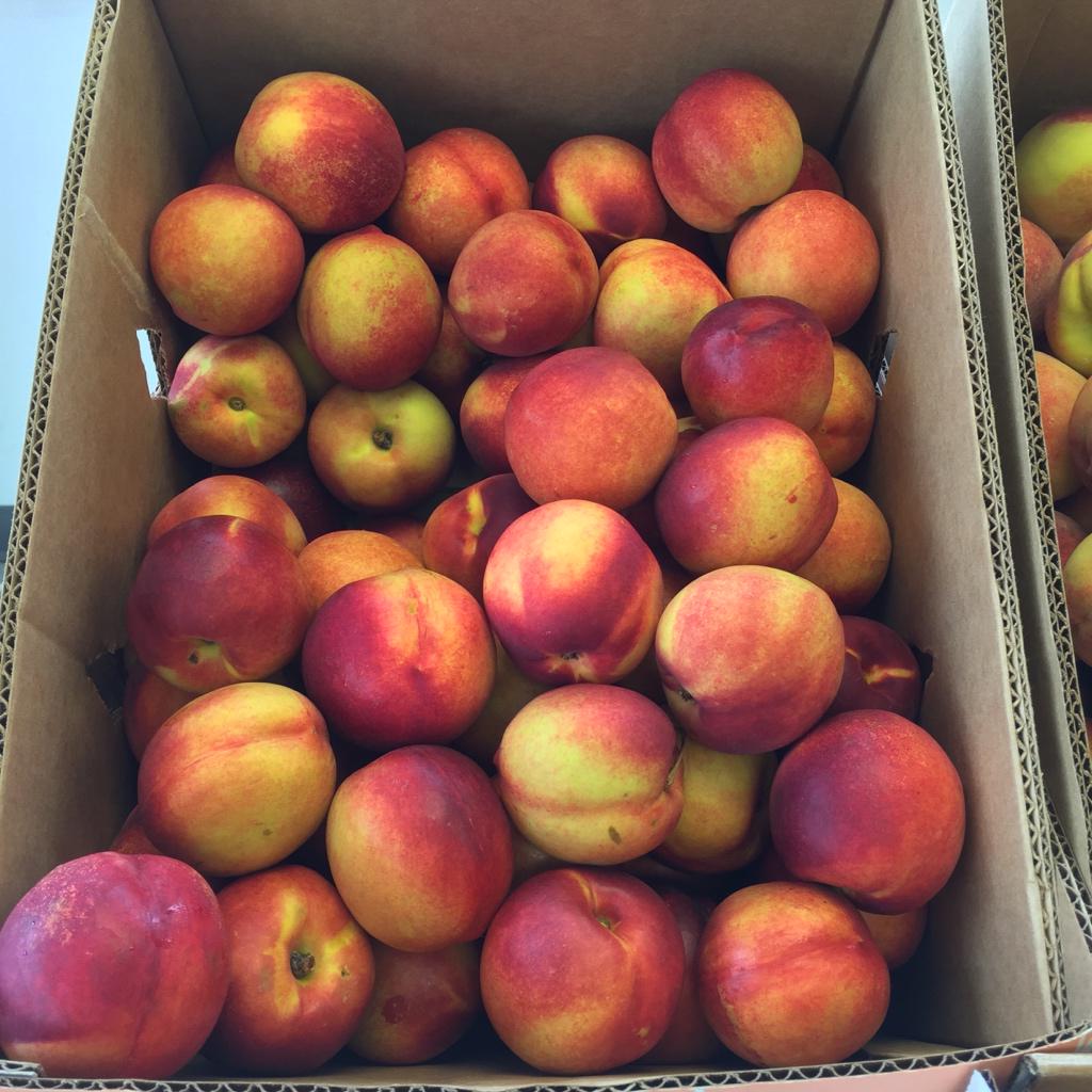 CrookBrothers's tweet photo. Try some of our #WestVirginia #grown #peaches #nectarines #plums and select #apple varieties for your enjoyment http://t.co/FxIn3Kv78S