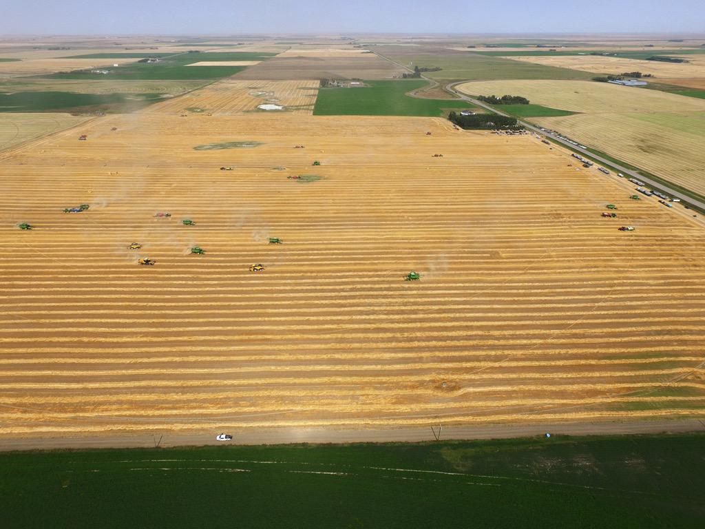 Adrian_Moens's tweet photo. Picture Butte #Foodgrains harvest. 20 combines (some showed late), cleaned 150 acres in exactly 60 mins
#FeedTheWorld http://t.co/yXJhzegZtW