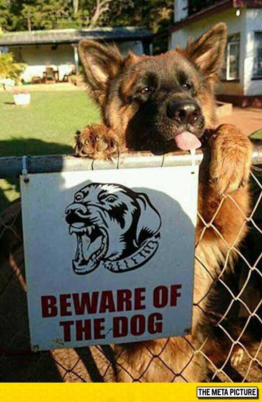 AdamLope's tweet photo. “@MensHumor: BEWARE! http://t.co/9FQRIsaa7q” @NikiMalinowski