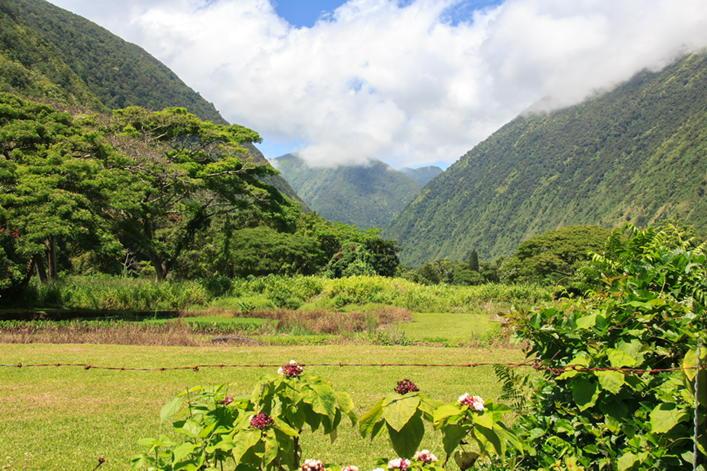 Humblehipster's tweet photo. Humbled by Hawai'i http://t.co/aOEmptrR0K