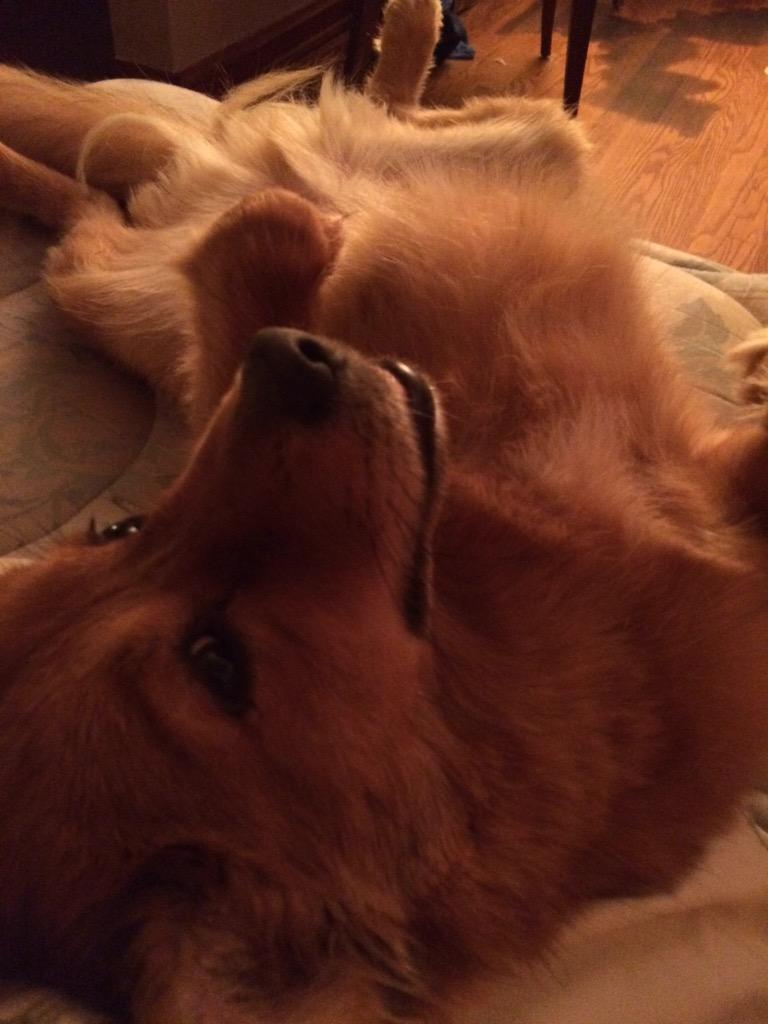 LarBearry's tweet photo. don't mind me #chillaxing #LarryIsReal http://t.co/Rjq1R5FPXo