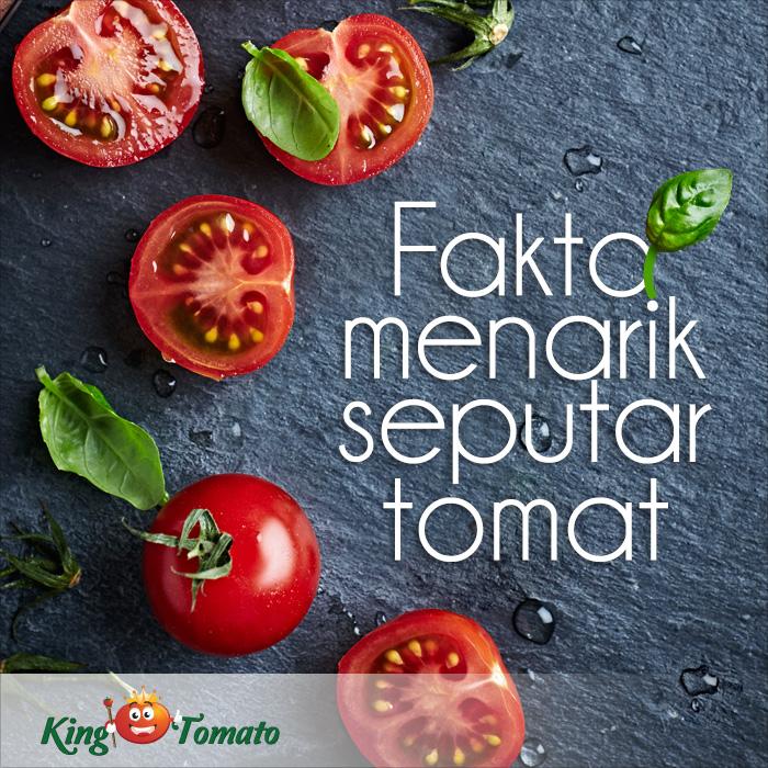 kingtomato_id's tweet photo. Tomat ternyata dahulu dianggap sebagai buah beracun?? temukan artikelnya di http://t.co/k2pKEwZP6r http://t.co/zEo5yRZhxw