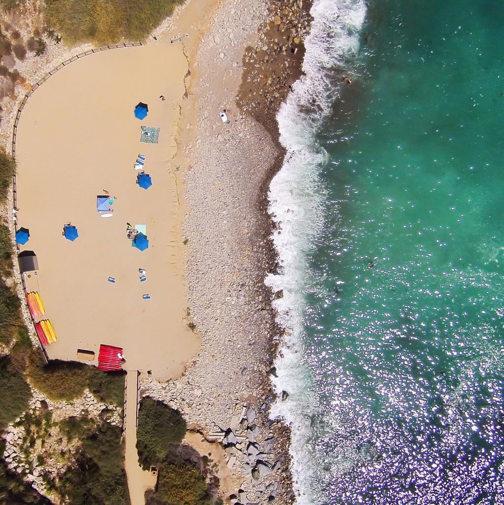 Ryan Garvin tweet media