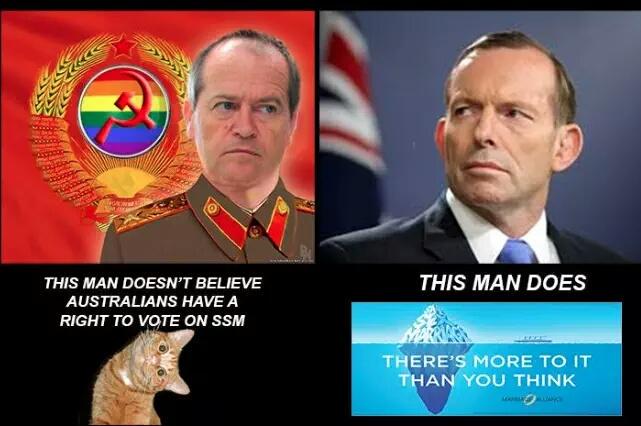 CM5l2lQUAAACdFj.jpg:large