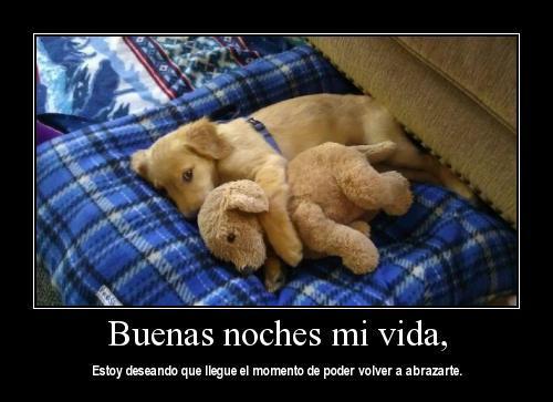 Roussetorres's tweet photo. 😍😆 http://t.co/0ONUI24955