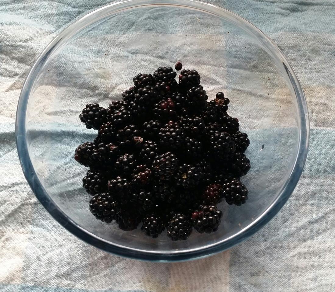 AlbanWay's tweet photo. First lot of blackberries picked on the #AlbanWay, and the resulting crumble! #happycommuting http://t.co/CYzsSWGNyW