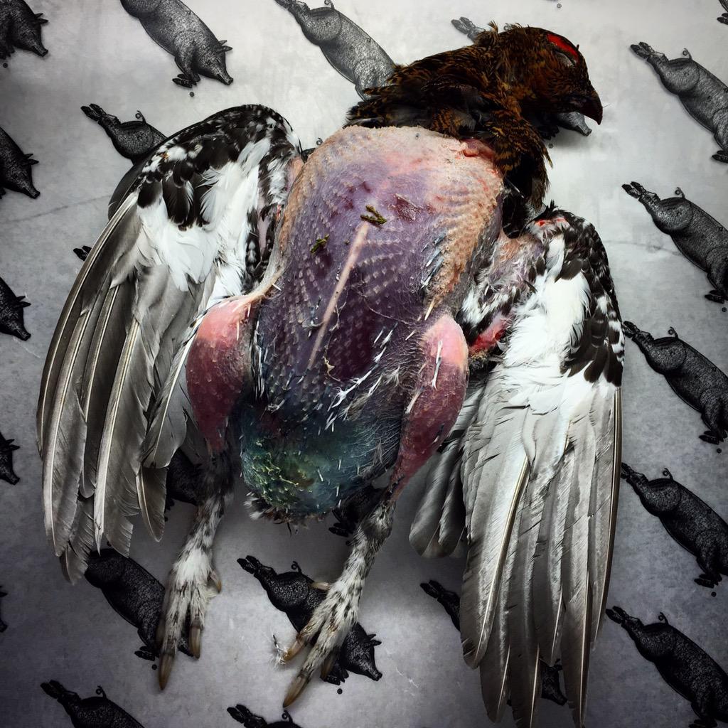 StJBreadandWine's tweet photo. The Grouse have landed! @Mr_St_JOHN says: "The musk of early Autumn rises when they roast". Such an exciting moment! http://t.co/PNAPmAhnOK