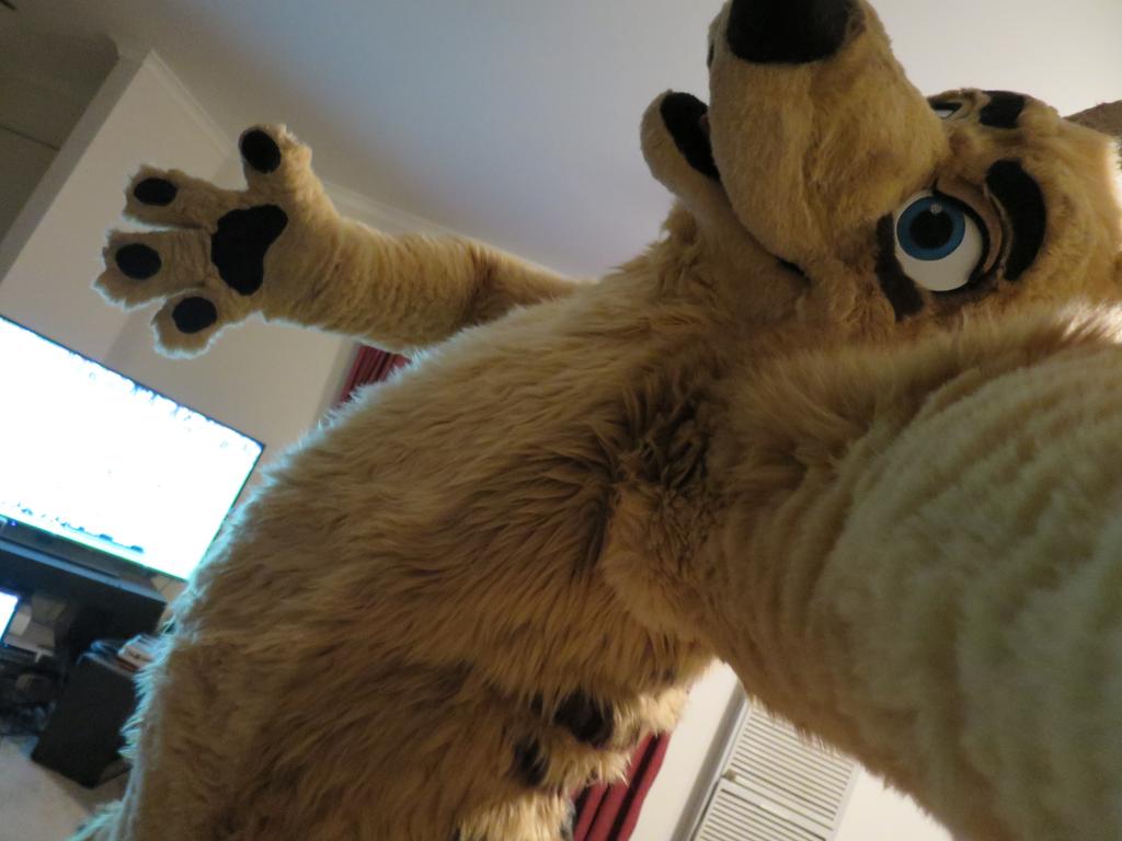 Paskhowl's tweet photo. #ThrowOutYourBackThursday #ItsNeverTooLate #ItsNeverTooLateForPuns http://t.co/sPp6yhOSv1
