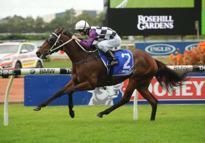 inglis_sales's tweet photo. $200,000 purchase for for Yu Long Investments MAMWAAZEL heads to Rockmount for freshen, &amp; to @MickPriceRacing stable http://t.co/HGzeK2cmna