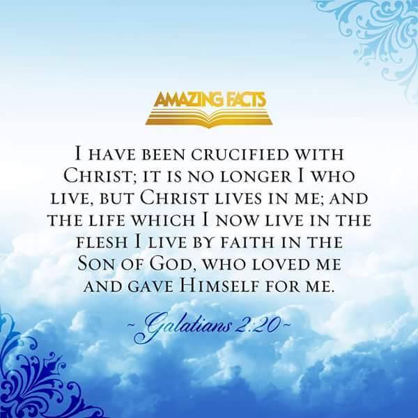 Dan Chi (@danchi486) on Twitter photo 