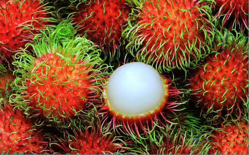 xadoiix's tweet image. Magkakaron kaya ng sale bukas ang #rambutan ? Abangan! 😂 #rambutan #ebproblemsloving @allanklownz
