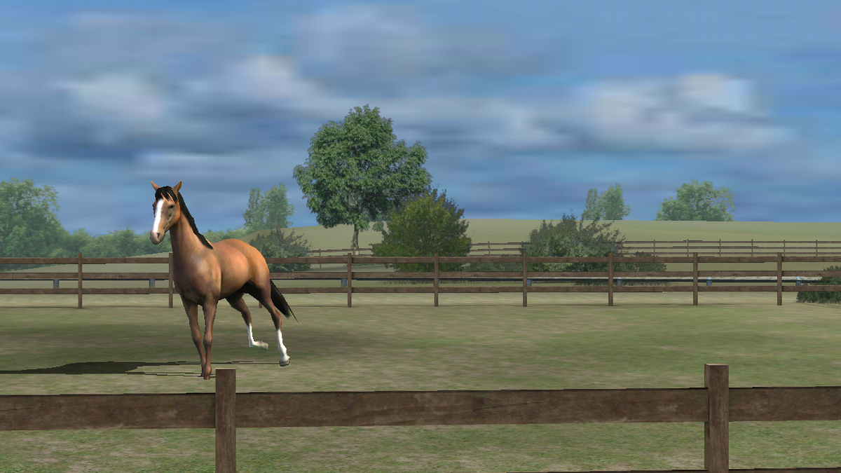jenifercabanill's tweet photo. Mira mi foto! Add me, cabanilla. #MyHorse http://t.co/tbcOzD8ArB