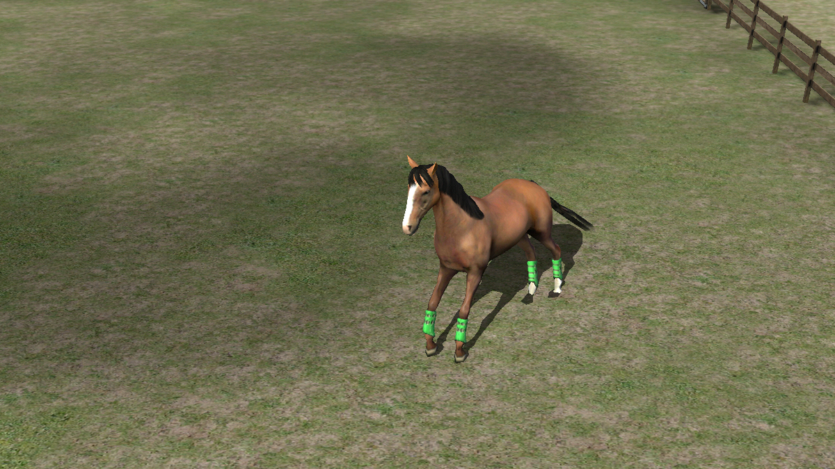 jenifercabanill's tweet photo. Mira mi foto! Add me, cabanilla. #MyHorse http://t.co/7MmWnZ5k6G
