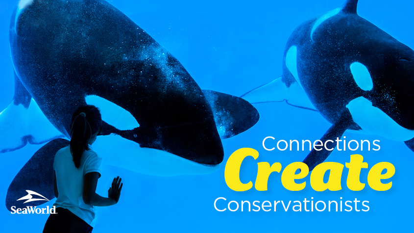 SeaWorld's tweet photo. RT if connecting with an animal helped create a lifelong passion for conservation in your life! http://t.co/cOMvuOv8k2