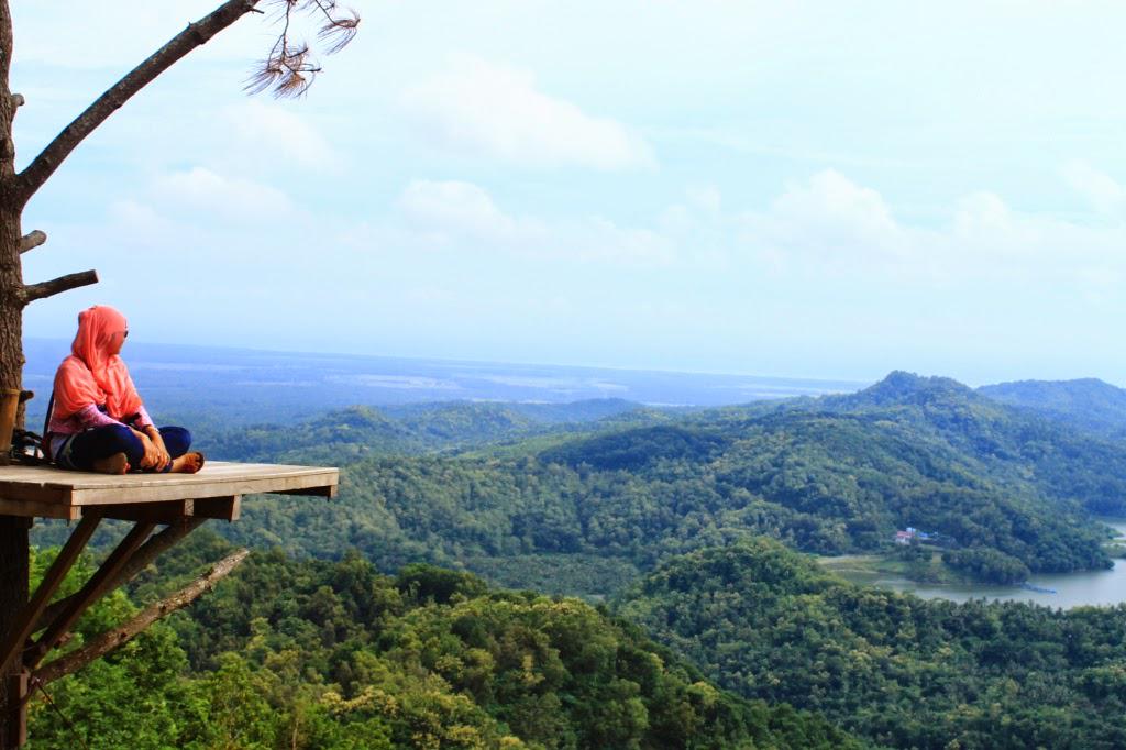 Jogja24Jam's tweet photo. Pengen banget nontonin pemandangan alam kaya gini? cuma bisa ditemuin di kalibiru, kulon progo - @AyobisCom  http://t.co/BIWmZBncHU