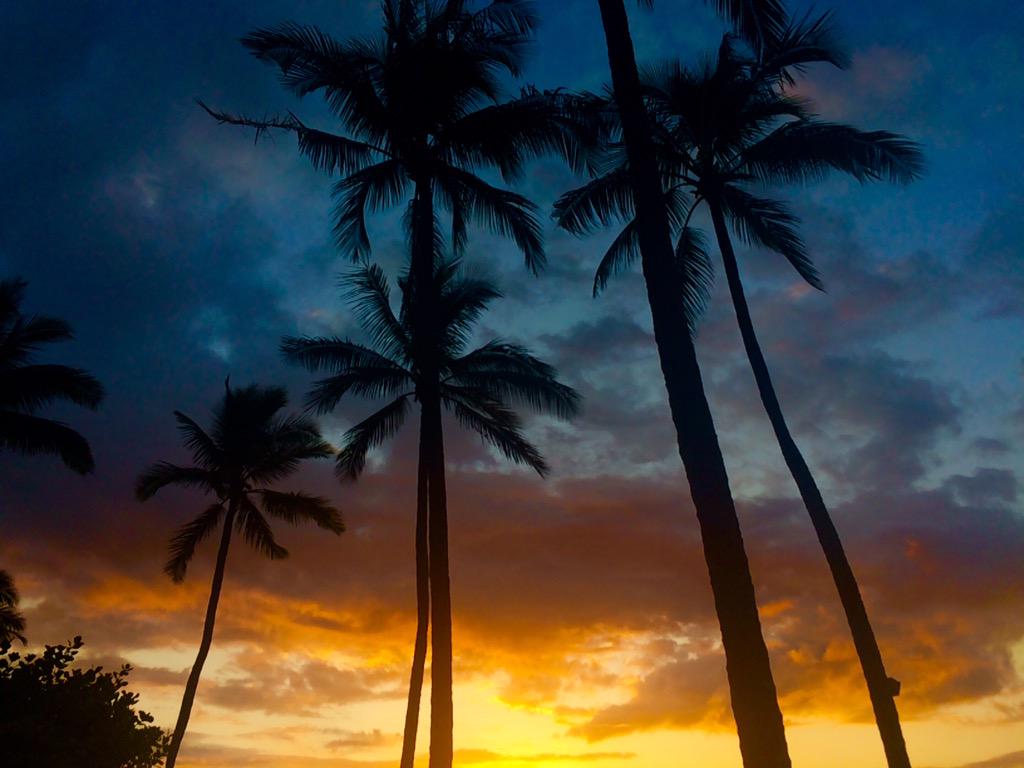 emmafreece's tweet photo. no place I'd rather be http://t.co/t0gi9PQuJt
