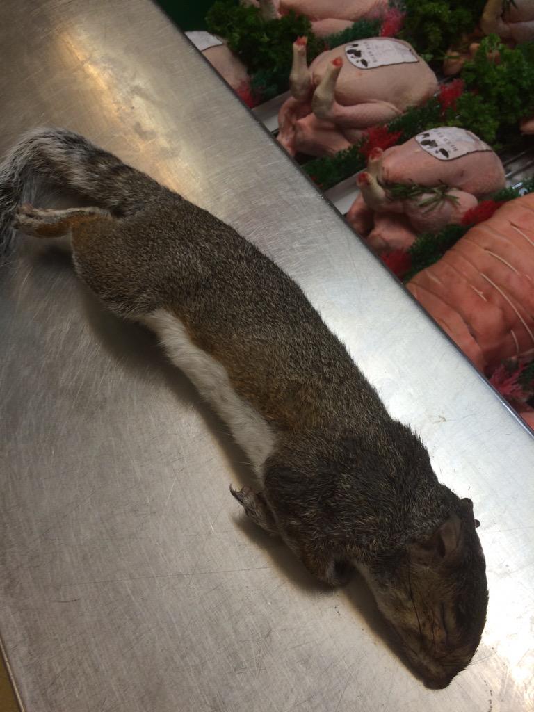 frostybutcher's tweet photo. Just back from Longford park with my gun. Fresh local squirrels in the shop today. @GametoEat #chorlton http://t.co/lVd1fZU1GH