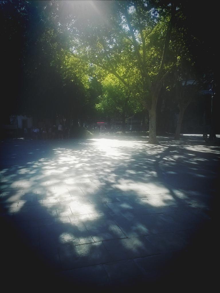 IWillBeFearless's tweet photo. @FyreRocks guess who is in Palma? This place is heaven ❤ Miss you ma belle ❤ http://t.co/RUODcPRpGH